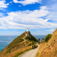 Buy canvas prints of Pathway leading up to the lighthouse by Kevin Hellon