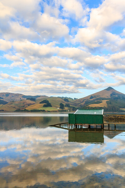 Boatshed at Hooper's Inlet, Picture Board by Kevin Hellon