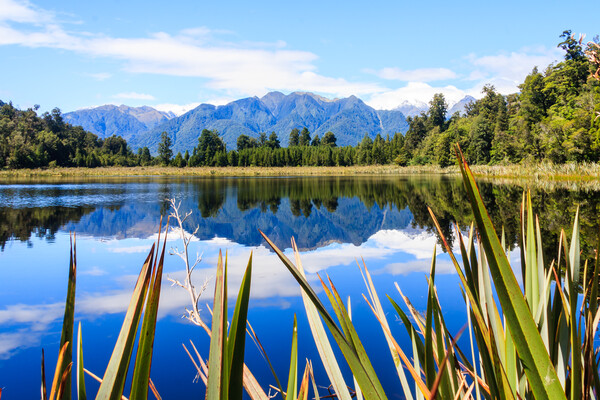 Mountain reflections in Lake Matheson Picture Board by Kevin Hellon