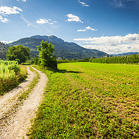 Buy canvas prints of Rural road in Trento among Alps by Natalia Macheda