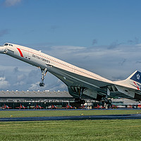 Buy canvas prints of Concorde landing  by Colin Smedley