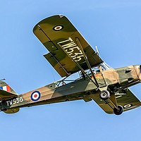 Buy canvas prints of Auster AOP.6 TW536/G-BNGE by Colin Smedley