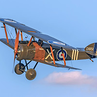 Buy canvas prints of Sopwith F.1 Camel D1851 G-BZSC "Ikanopit" by Colin Smedley
