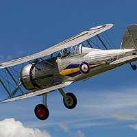 Buy canvas prints of Gloster Gladiator I K7985 G-AMRK by Colin Smedley