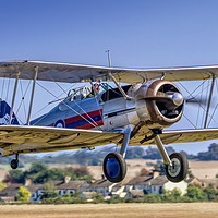 Buy canvas prints of Gloster Gladiator II N5903 G-GLAD  by Colin Smedley