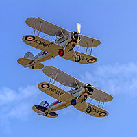 Buy canvas prints of A pair of Gloster Gladiators by Colin Smedley