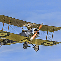 Buy canvas prints of Sopwith Pup N6161 G-ELRT by Colin Smedley