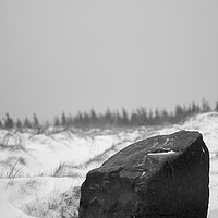 Buy canvas prints of Blwch South Wales Boulder in Snow by Janet Simmons