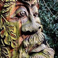 Buy canvas prints of The Green Man by Mike Lanning