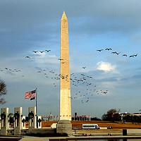 Buy canvas prints of Washington Monument by Mike Lanning