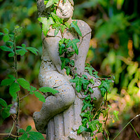 Buy canvas prints of Garden Statue by Mike Lanning