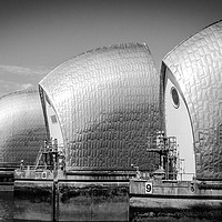 Buy canvas prints of Thames Barrier (B&W) by Mike Lanning