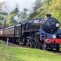 Buy canvas prints of BR Standard Class 5 73082 Camelot by Mike Lanning