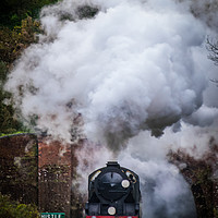 Buy canvas prints of SR S15 Class #847 Exits West Hoathly tunnel by Mike Lanning