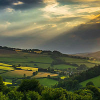 Buy canvas prints of Sunlight on the Brendon Hills by Mike Lanning