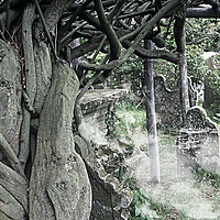 Buy canvas prints of Old Grave Yard by Bob Walker