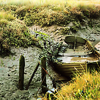 Buy canvas prints of Too Long in the Mud by Bob Walker