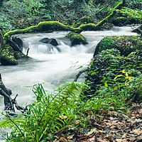 Buy canvas prints of Fast Flowing River by Bob Walker