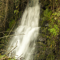Buy canvas prints of Water Fall at Luxulyan Valley by Bob Walker
