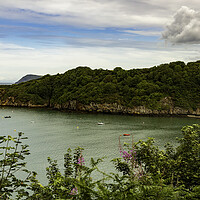 Buy canvas prints of Fishguard Bay by Mal Spain
