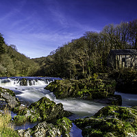 Buy canvas prints of Cenarth Falls by Mal Spain