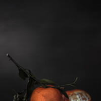Buy canvas prints of Clementines Still Life depth of field by Steven Dijkshoorn