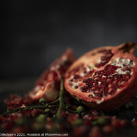 Buy canvas prints of Pomegranate Still Life dark by Steven Dijkshoorn
