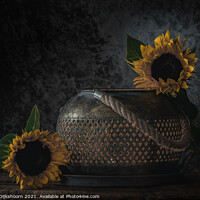 Buy canvas prints of A close up of sunflowers as a still life by Steven Dijkshoorn