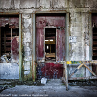 Buy canvas prints of The three red doors in an abandoned factory by Steven Dijkshoorn
