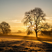 Buy canvas prints of Frosty golden sunrise by stephen tolley