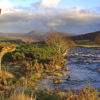 Buy canvas prints of River Brora in Autumn by David Wilson