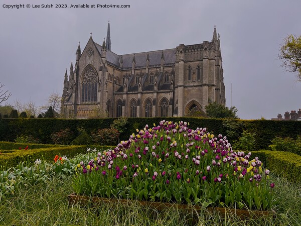 Arundel Cathedral Picture Board by Lee Sulsh