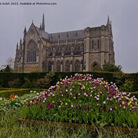 Buy canvas prints of Arundel Cathedral by Lee Sulsh