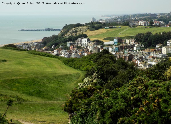View of Hastings town from the East Hill Picture Board by Lee Sulsh