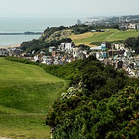 Buy canvas prints of View of Hastings town from the East Hill by Lee Sulsh