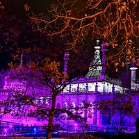 Buy canvas prints of Brighton Pavilion through the trees by Lee Sulsh