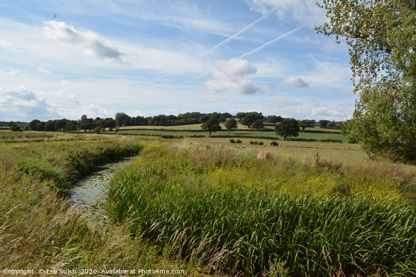                       The Brede Valley in East sus Picture Board by Lee Sulsh