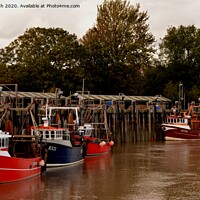 Buy canvas prints of Rye Fishing Fleet by Lee Sulsh
