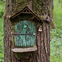 Buy canvas prints of green door in a tree by Chris Willemsen
