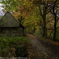 Buy canvas prints of old farm in a autumn forest in holland by Chris Willemsen