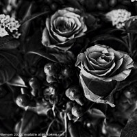 Buy canvas prints of flower bouquest of dark black art flowers by Chris Willemsen
