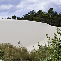 Buy canvas prints of crystal white sand on the schoorl dunes in holland by Chris Willemsen