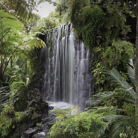 Buy canvas prints of waterfall on madeira island  by Chris Willemsen
