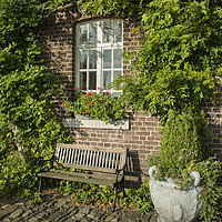 Buy canvas prints of old farm with green plants on the wall by Chris Willemsen
