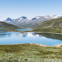 Buy canvas prints of lake in national park in norway by Chris Willemsen