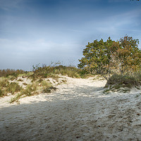 Buy canvas prints of white sand surface in  dutch nature by Chris Willemsen