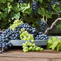 Buy canvas prints of decoration of bunches blue and white grapes  by Chris Willemsen