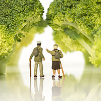 Buy canvas prints of miniature figures walking on broccoli trees  by Chris Willemsen