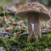 Buy canvas prints of small painter figure painting the mushroom in the  by Chris Willemsen