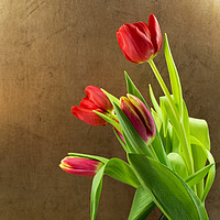 Buy canvas prints of red tulips by Chris Willemsen